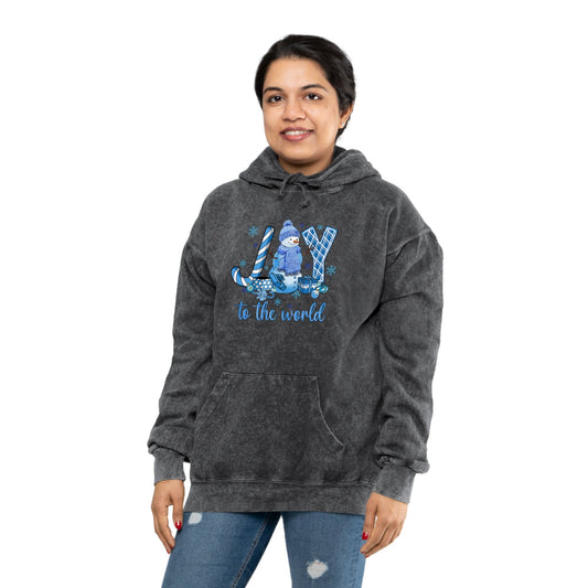 Joy to the world, mineral wash hoodie